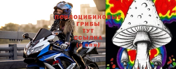 spice Михайловск