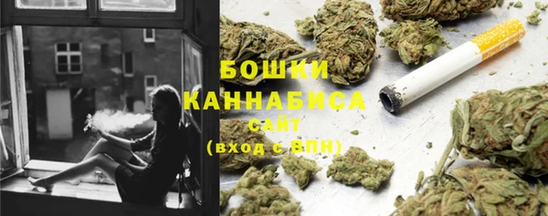 PSILOCYBIN Михайловка