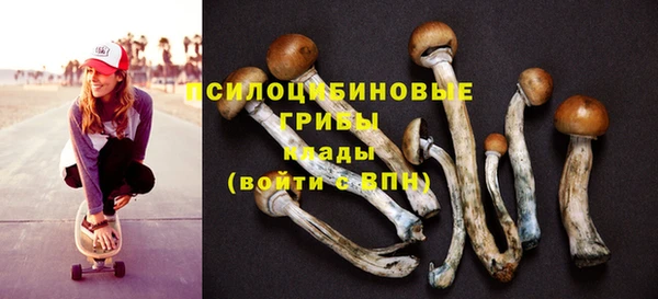 PSILOCYBIN Михайловка