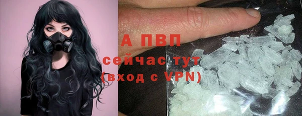 PSILOCYBIN Михайловка
